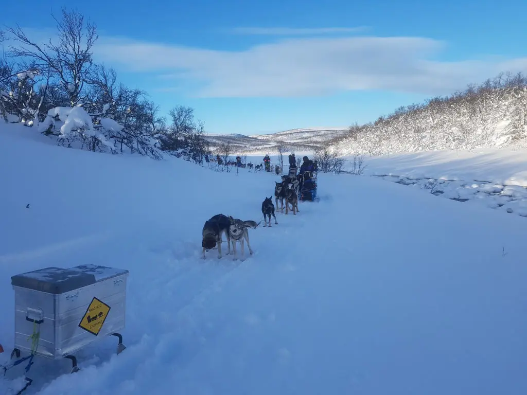 Tanafjord Aurora Husky