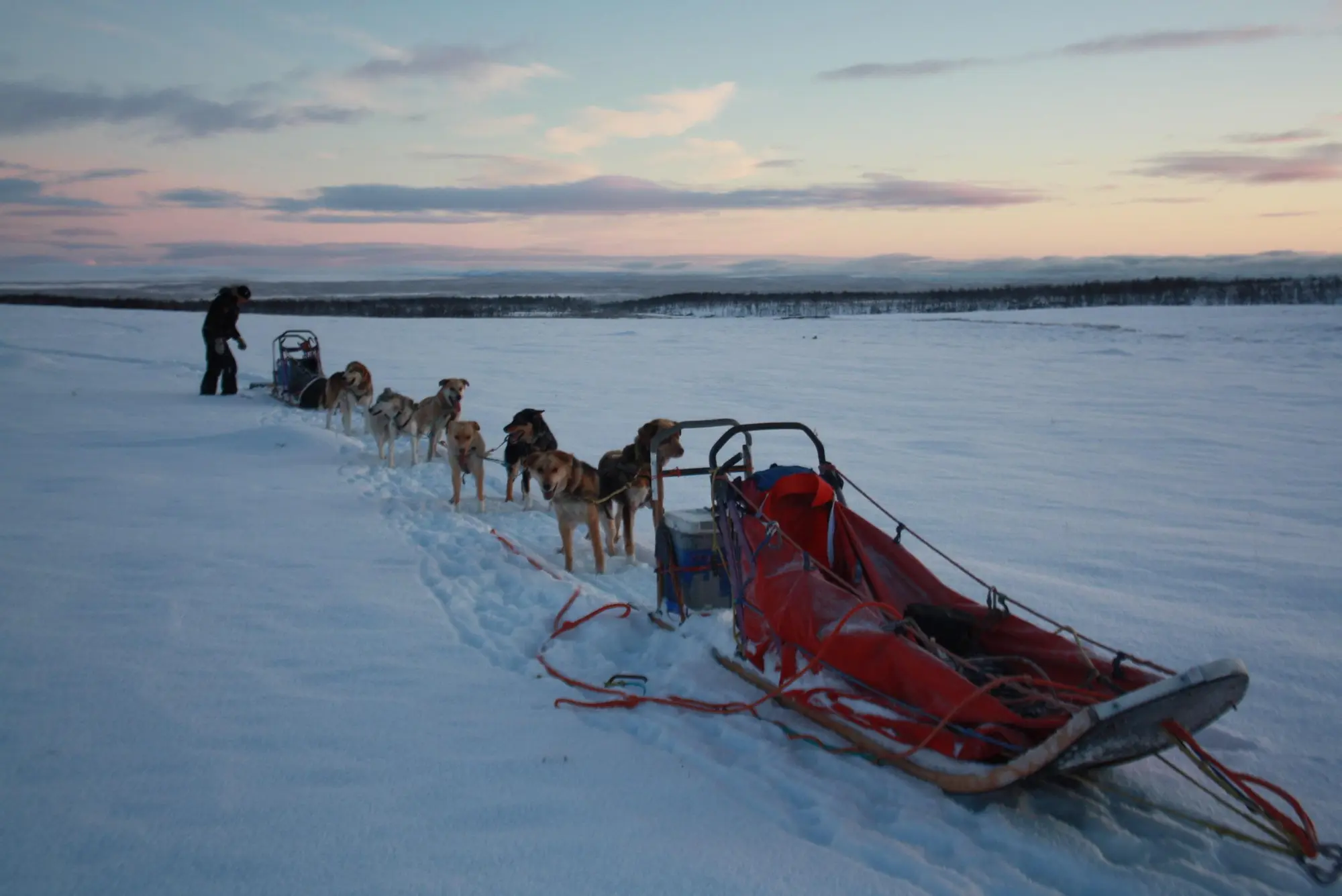 Nanouak Dogsledding Norway